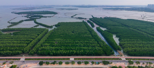 微信截图_20191113175334.png 微信截图_20191113175334.png