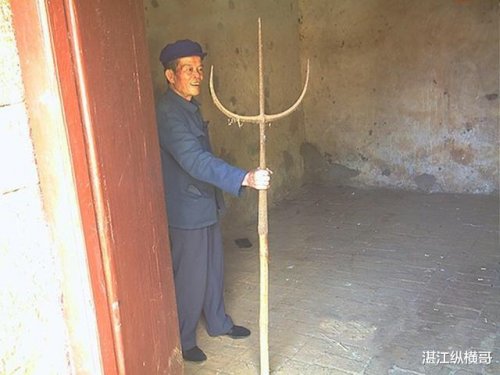 image.jpeg image.jpeg