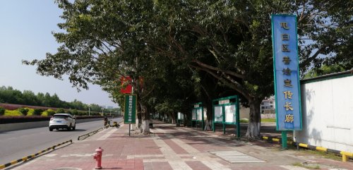 IMG_20201006_130746.jpg IMG_20201006_130746.jpg