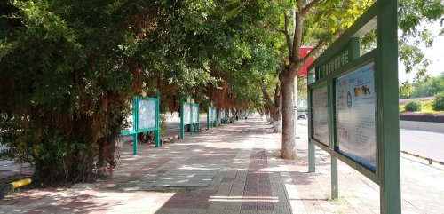 IMG_20201006_130831.jpg IMG_20201006_130831.jpg