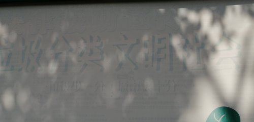 IMG_20201006_130956.jpg IMG_20201006_130956.jpg