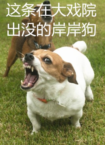 njm00_副本10.jpg njm00_副本10.jpg