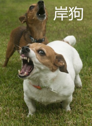 njm00_副本.jpg njm00_副本.jpg