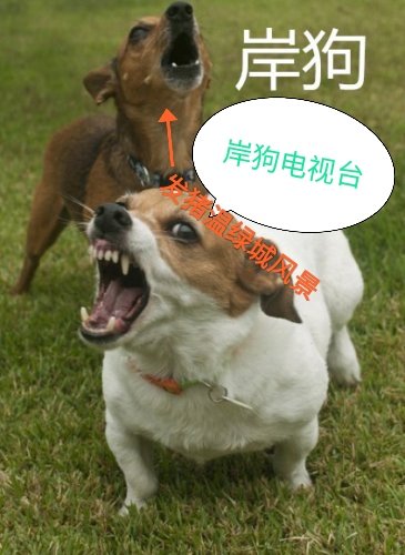 IMG_20201008_222020.jpg IMG_20201008_222020.jpg