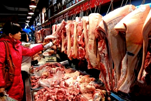 25_副本.png 25_副本.png