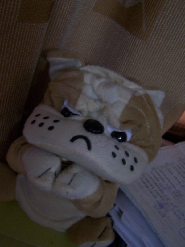 100_0034.jpg