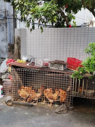 IMG_20211201_134720.jpg IMG_20211201_134720.jpg