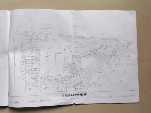 mmexport1639367356796.jpg mmexport1639367356796.jpg