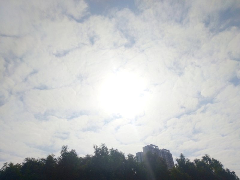 IMG_20230120_003805.jpg IMG_20230120_003805.jpg