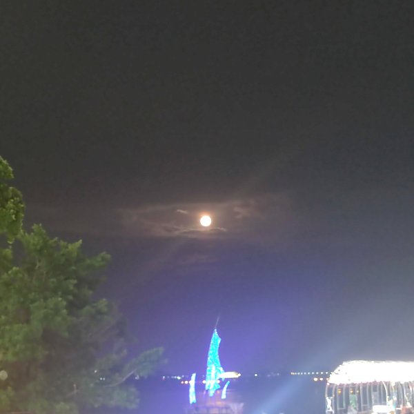 IMG_20230929_200507.jpg IMG_20230929_200507.jpg