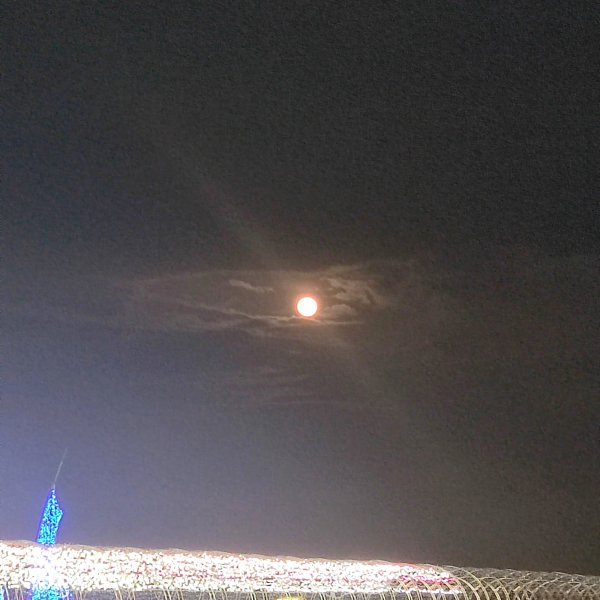 IMG_20230929_200422.jpg IMG_20230929_200422.jpg