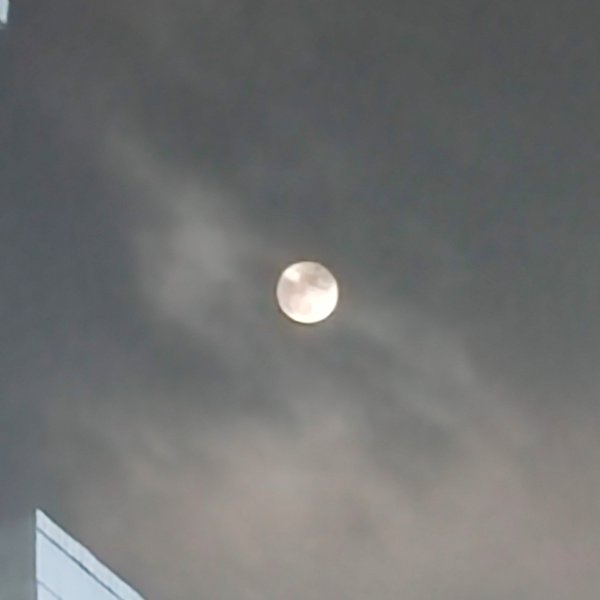 IMG_20230929_205050.jpg IMG_20230929_205050.jpg