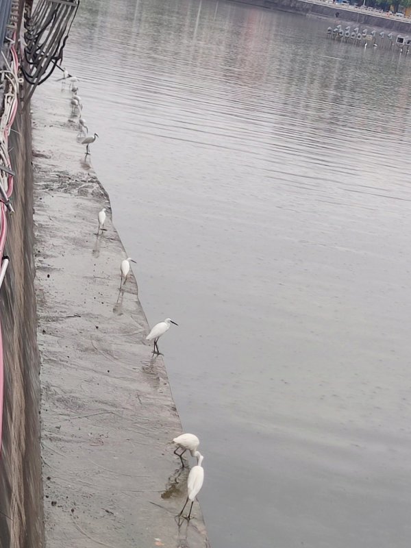 IMG_20241030_021505.jpg IMG_20241030_021505.jpg