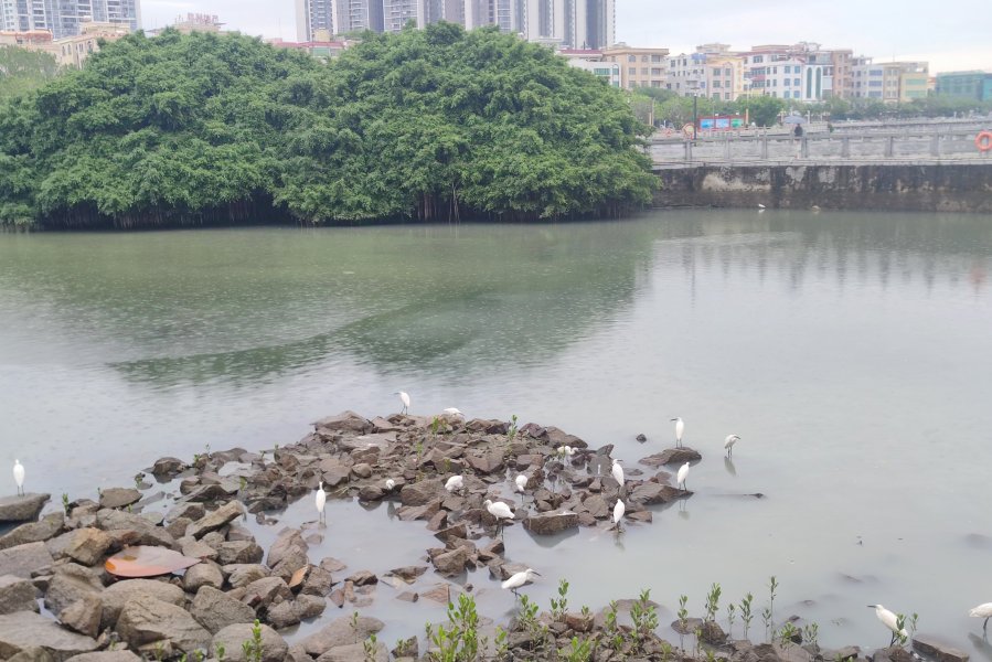 IMG_20241030_020243.jpg IMG_20241030_020243.jpg