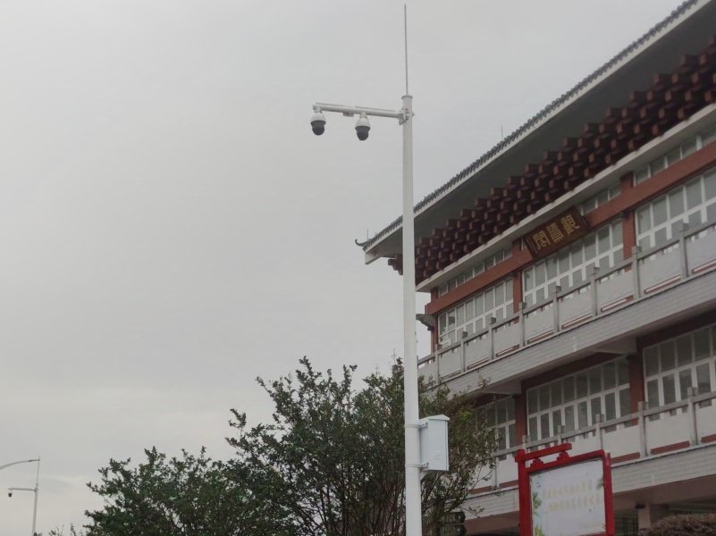 IMG_20241030_031612.jpg IMG_20241030_031612.jpg