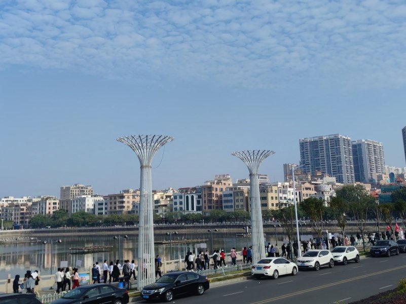 IMG_20241227_222838.jpg IMG_20241227_222838.jpg