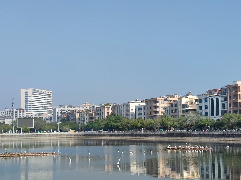 IMG_20241227_222036.jpg IMG_20241227_222036.jpg