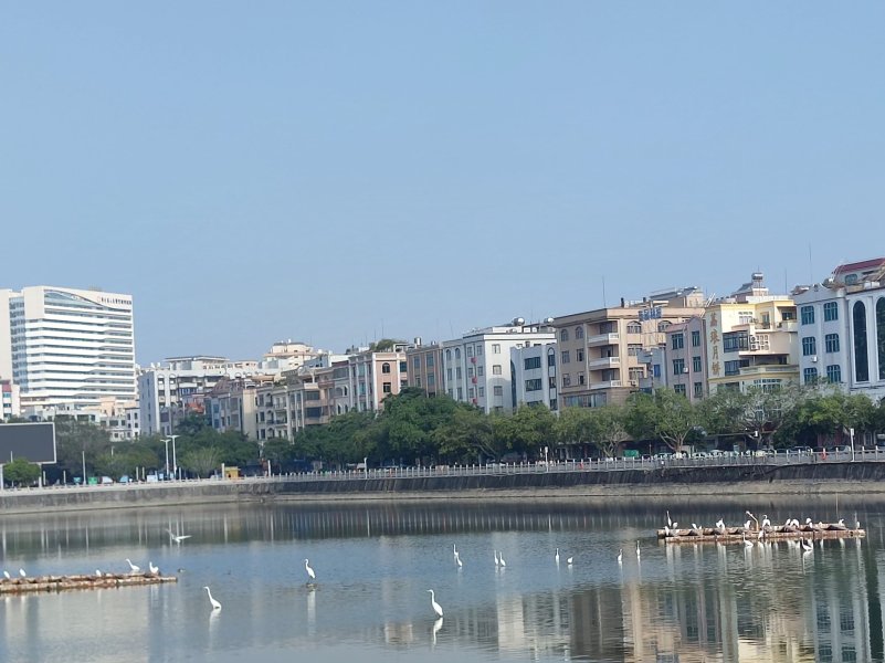 IMG_20241227_222218.jpg IMG_20241227_222218.jpg