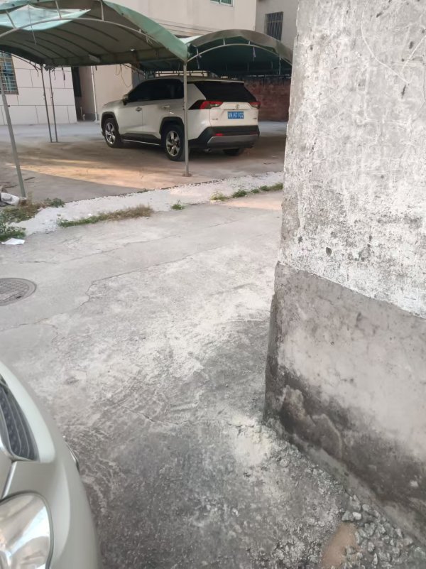 mmexport1735822450479.jpg mmexport1735822450479.jpg