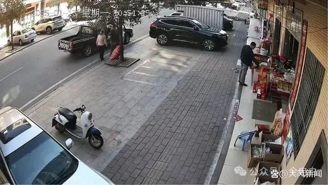 IMG_7931.jpeg IMG_7931.jpeg