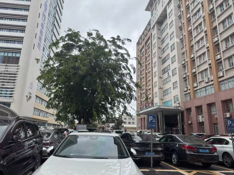 33e94161ea9674d43b935aedb991138a.jpeg 33e94161ea9674d43b935aedb991138a.jpeg