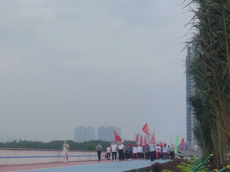 IMG_20251031_200534.jpg IMG_20251031_200534.jpg