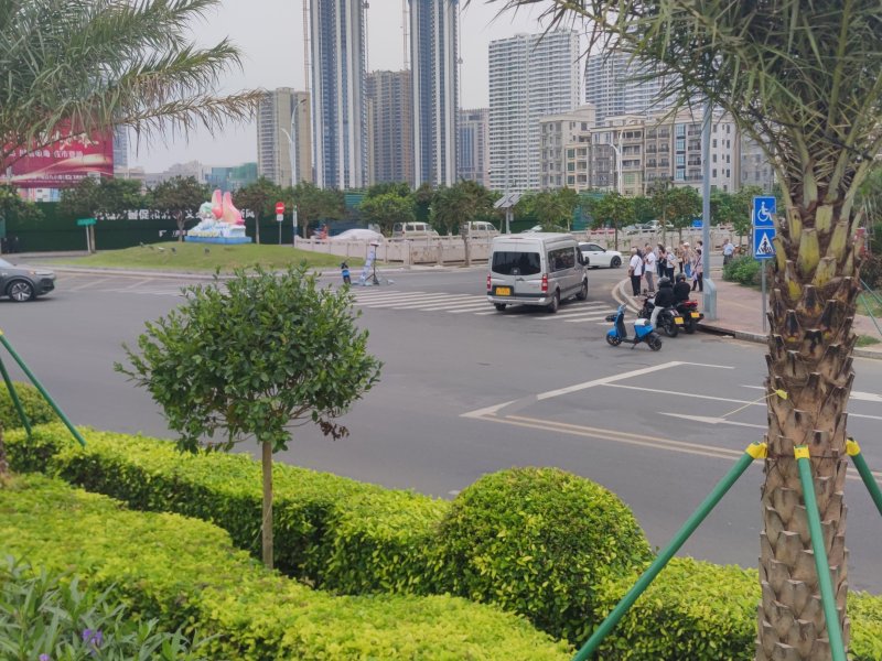 IMG_20251031_234539.jpg IMG_20251031_234539.jpg