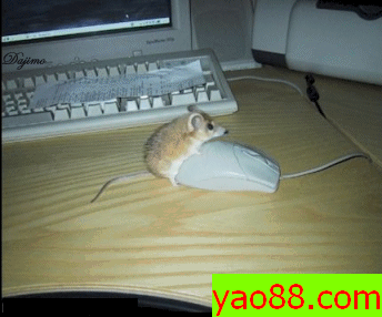 青春期的小老鼠.gif