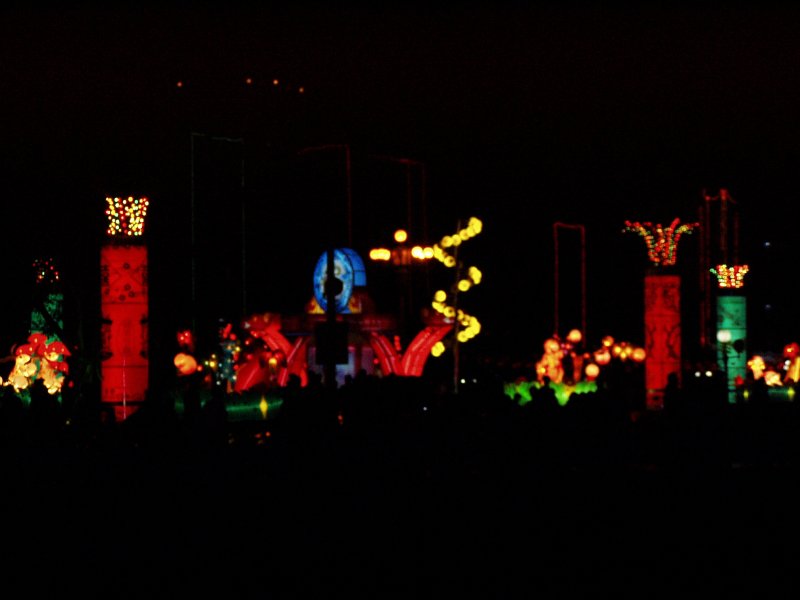 P1010033.JPG