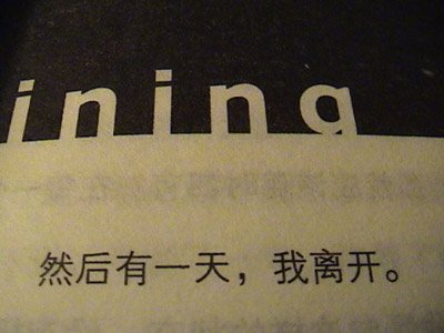 003051.jpg